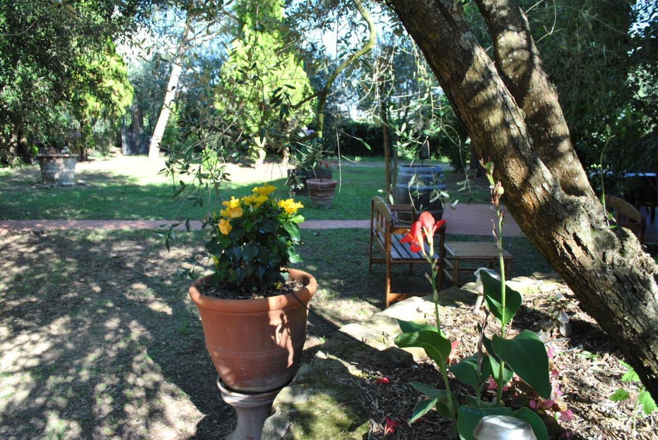 Agriturismo La Nicchia Castelnuovo Berardenga Exterior photo