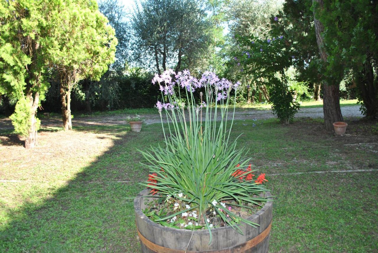 Agriturismo La Nicchia Castelnuovo Berardenga Exterior photo