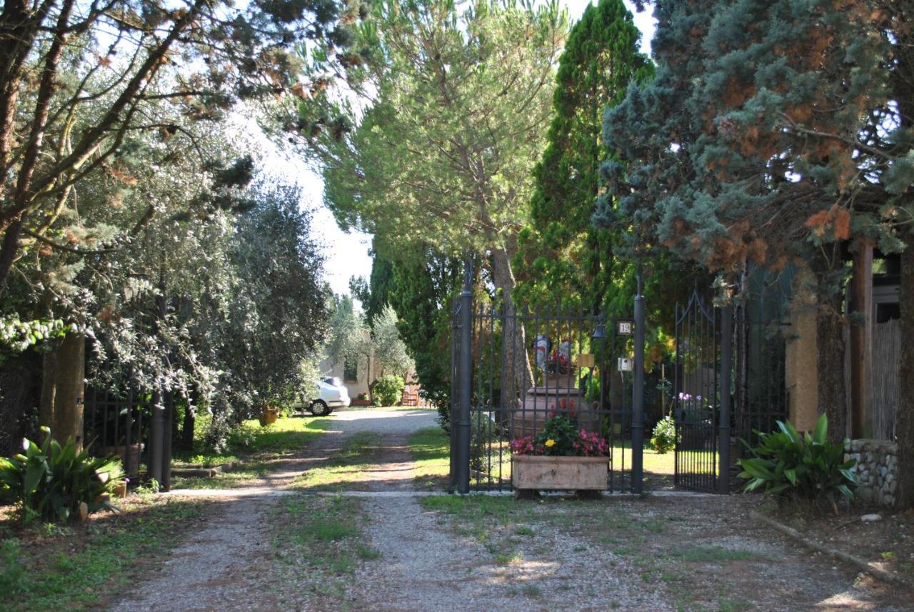 Agriturismo La Nicchia Castelnuovo Berardenga Exterior photo