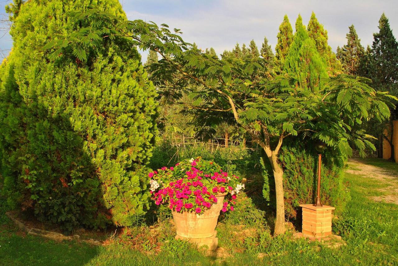 Agriturismo La Nicchia Castelnuovo Berardenga Exterior photo
